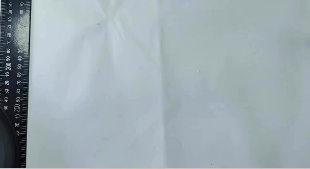 Morris Brown College Alumni Luggage Tags